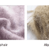 10 Best Quality Knitwear Manufacturers and Suppliers in the World