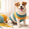 Crochet Dog Sweater: Fit-First Guide (Measurements, Sizing, Adjustments)